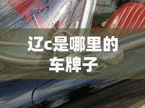 辽c是哪里的车牌子  第1张