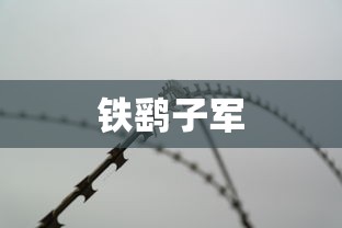 铁鹞子军  第1张