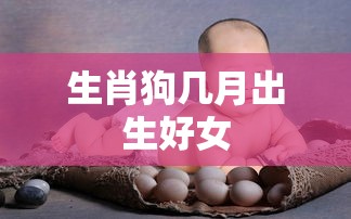 生肖狗几月出生好女  第1张