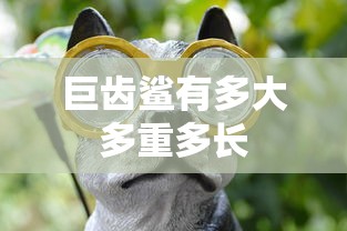 巨齿鲨有多大多重多长  第1张