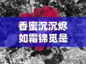香蜜沉沉烬如霜锦觅是谁的女儿  第1张