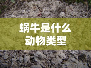 蜗牛是什么动物类型  第1张