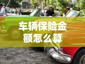 车辆保险金额怎么算  第1张