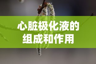 心脏极化液的组成和作用  第1张