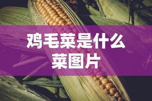 07073游戏网  第1张