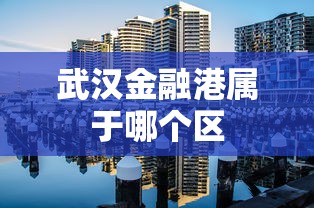 武汉金融港属于哪个区  第1张