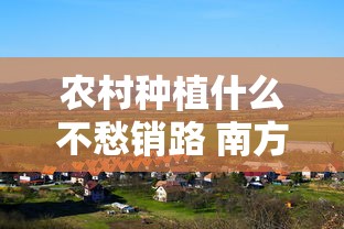 农村种植什么不愁销路 南方  第1张
