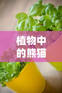 植物中的熊猫是哪种植物?  第1张