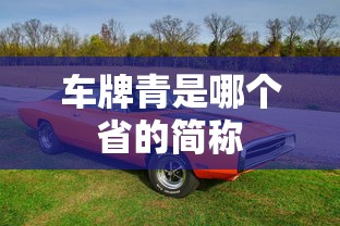 车牌青是哪个省的简称  第1张
