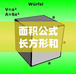 面积公式长方形和正方形  第1张