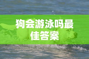 狗会游泳吗最佳答案  第1张