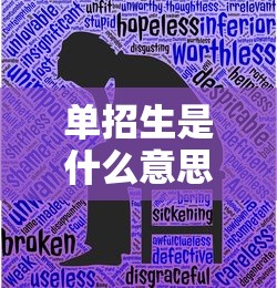 单招生是什么意思?  第1张