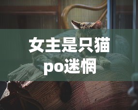 女主是只猫po迷惘  第1张