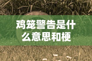 鸡笼警告是什么意思和梗  第1张