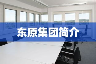 东原集团简介  第1张