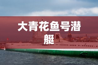 大青花鱼号潜艇  第1张