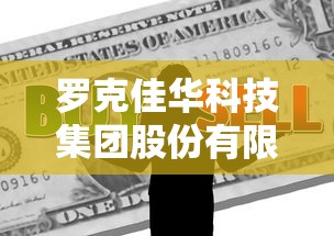 罗克佳华科技集团股份有限公司  第1张