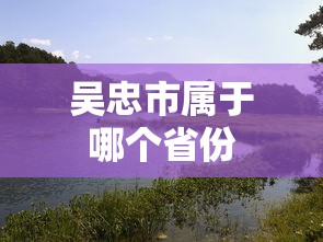 吴忠市属于哪个省份  第1张