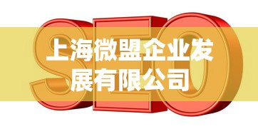 上海微盟企业发展有限公司  第1张