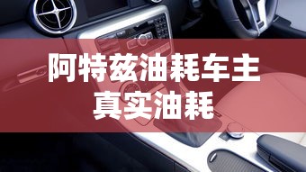 阿特兹油耗车主真实油耗  第1张