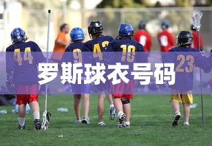 罗斯球衣号码  第1张