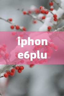 iphone6plus电池容量  第1张