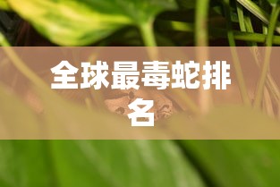 全球最毒蛇排名  第1张