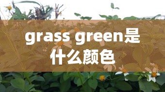 grass green是什么颜色  第1张