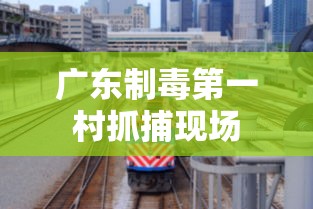 广东制毒第一村抓捕现场  第1张