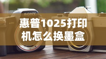 铁血大民国小说  第1张