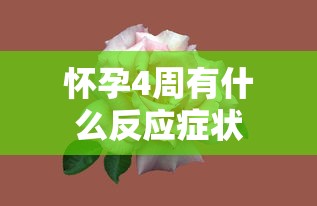 怀孕4周有什么反应症状  第1张