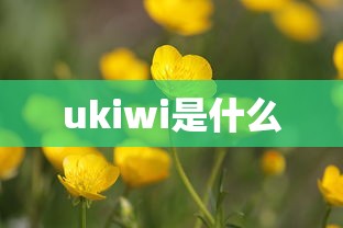 ukiwi是什么  第1张