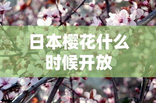 日本樱花什么时候开放  第1张