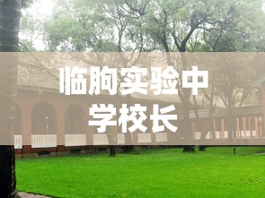 临朐实验中学校长  第1张