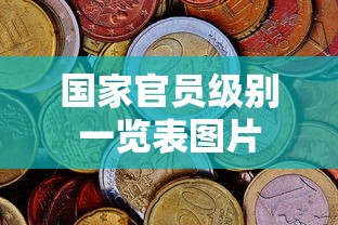 国家官员级别一览表图片  第1张