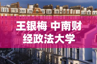 王银梅 中南财经政法大学  第1张