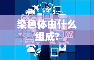 染色体由什么组成?  第1张