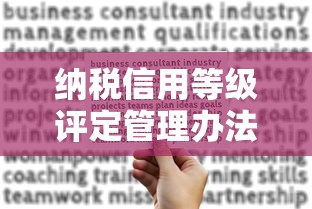 纳税信用等级评定管理办法  第1张