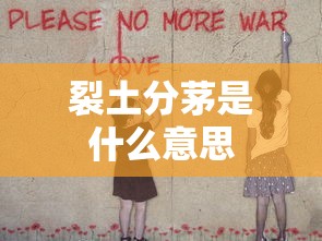 裂土分茅是什么意思  第1张