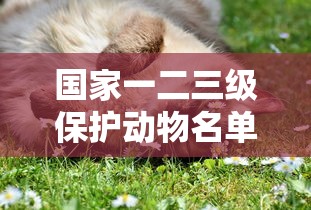 国家一二三级保护动物名单  第1张