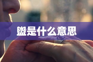 盥是什么意思  第1张