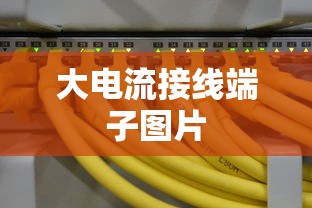 大电流接线端子图片  第1张