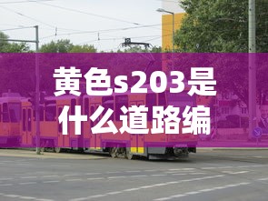 黄色s203是什么道路编号  第1张