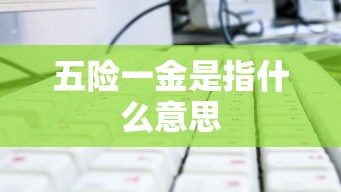 五险一金是指什么意思  第1张