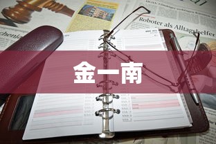 金一南  第1张