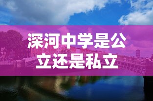 深河中学是公立还是私立  第1张