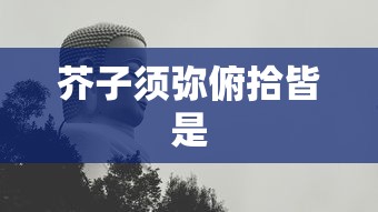 芥子须弥俯拾皆是  第1张