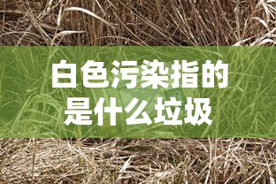 白色污染指的是什么垃圾  第1张