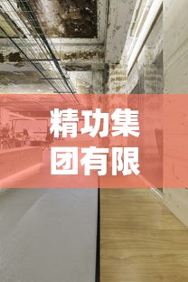 精功集团有限公司  第1张