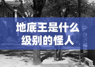 地底王是什么级别的怪人  第1张